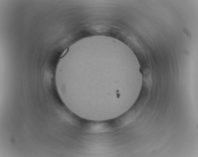 X0000115050235200911231200