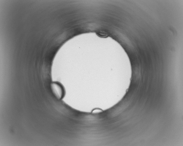 X0000115050236200911231200