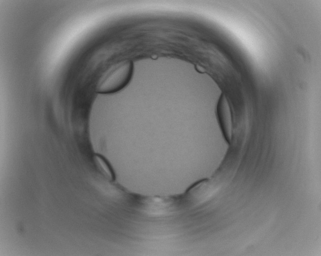 X0000115050239200911231200