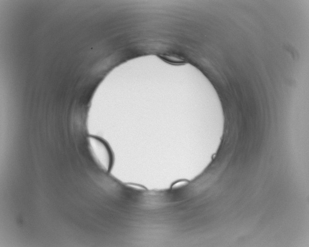 X0000115050240200911231200