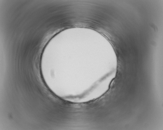 X0000115050241200911231159