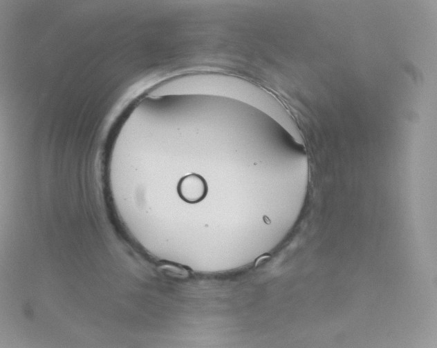 X0000115050244200911231159