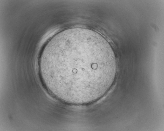 X0000115050245200911231159