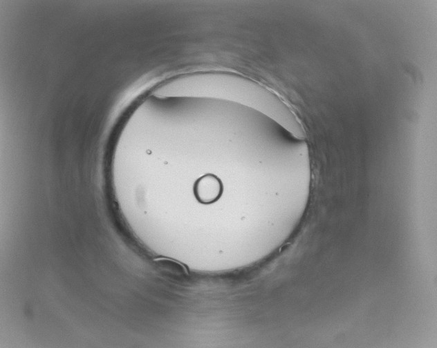 X0000115050248200911231159