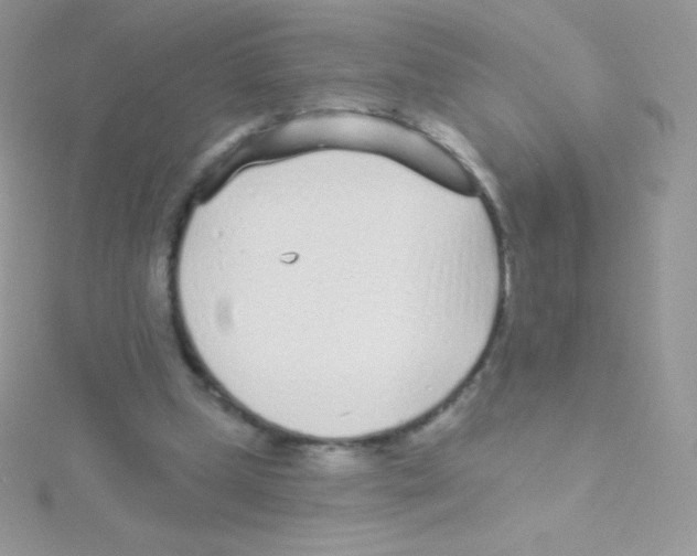 X0000115050249200911231159