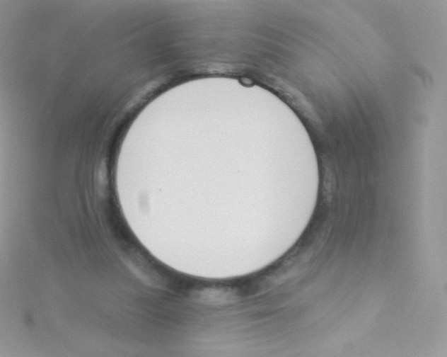 X0000115050251200911231159