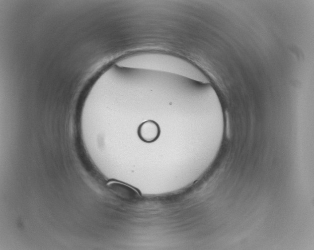 X0000115050252200911231159