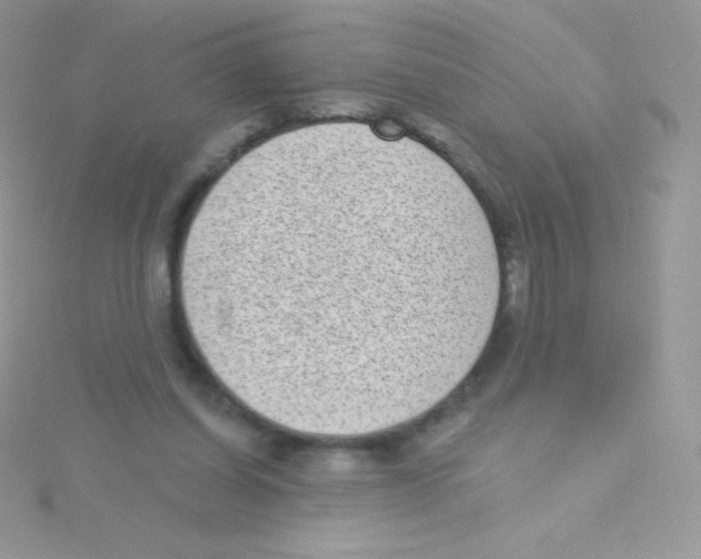 X0000115050254200911231159