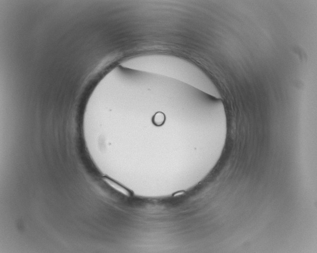 X0000115050256200911231159