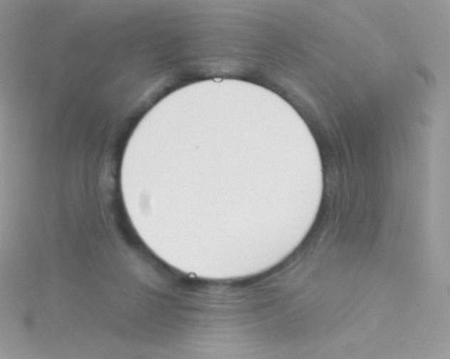 X0000115050264200911231159