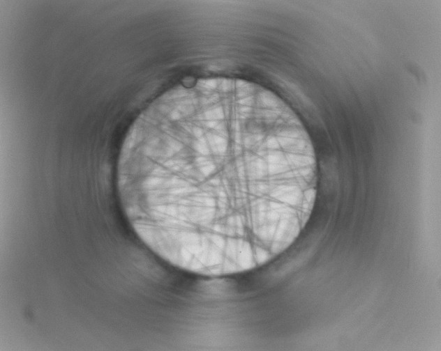 X0000115050269200911231159