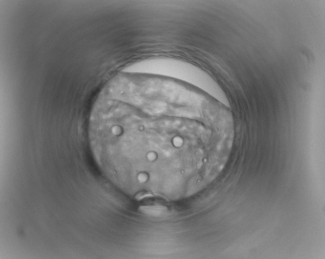 X0000115050270200911231159