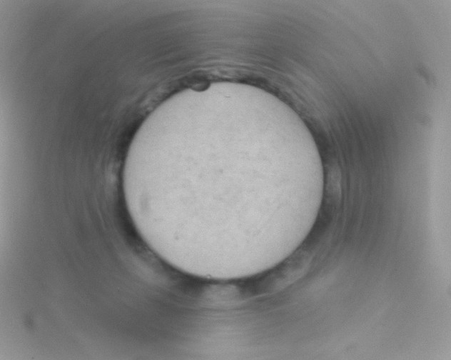 X0000115050271200911231159