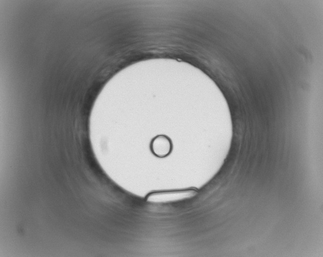 X0000115050272200911231200