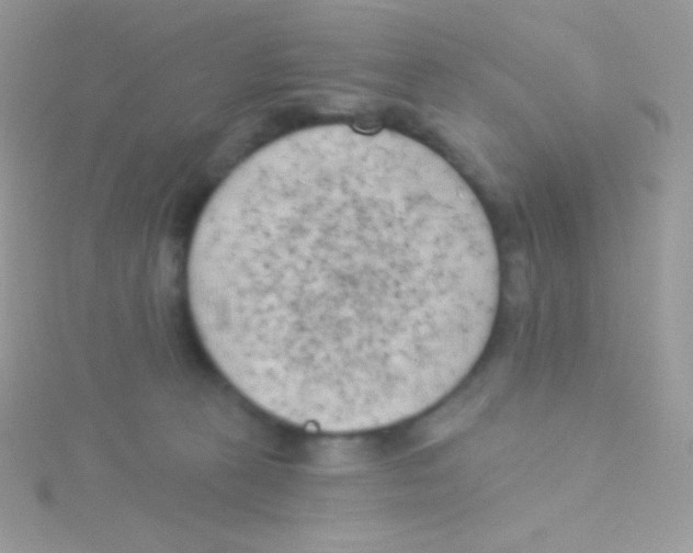 X0000115050273200911231200