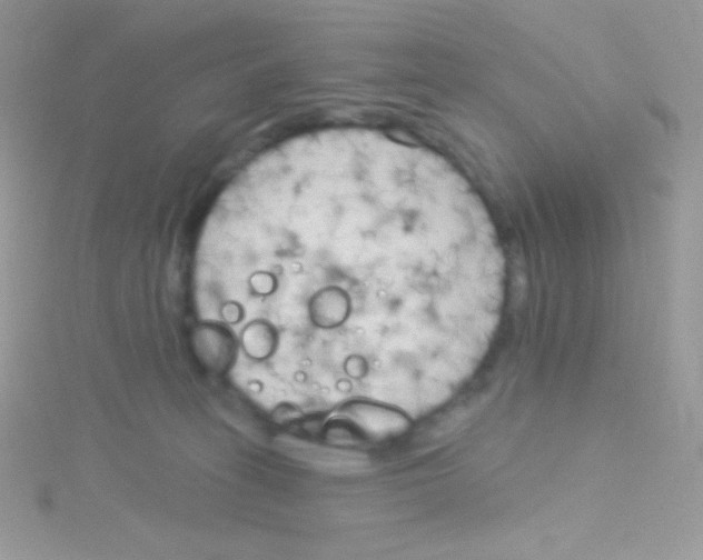 X0000115050275200911231200