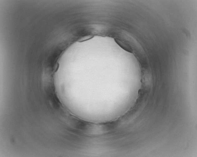 X0000115050276200911231200