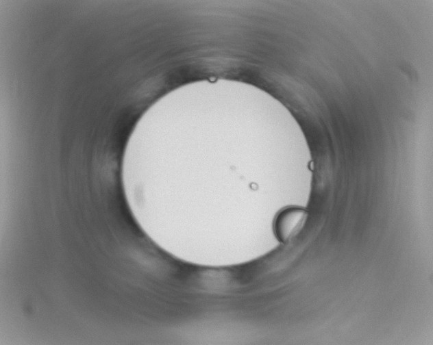 X0000115050279200911231200