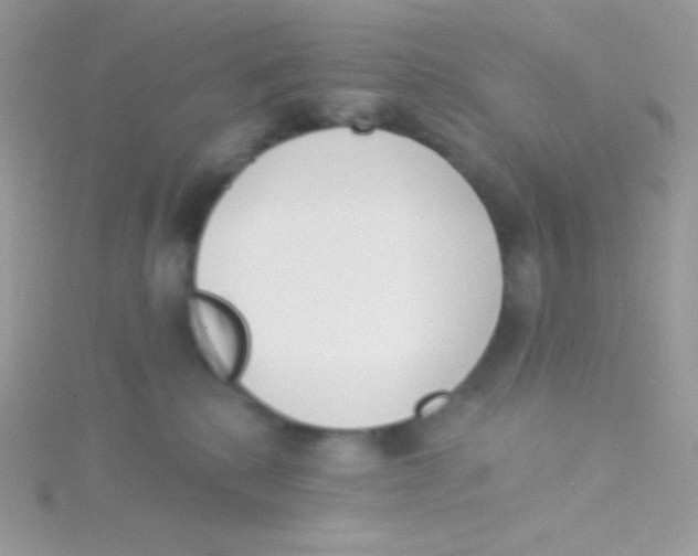 X0000115050280200911231200