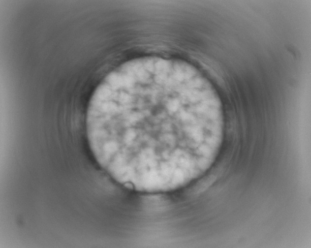 X0000115050281200911231200