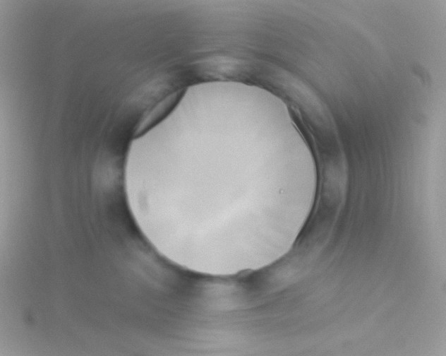 X0000115050284200911231200