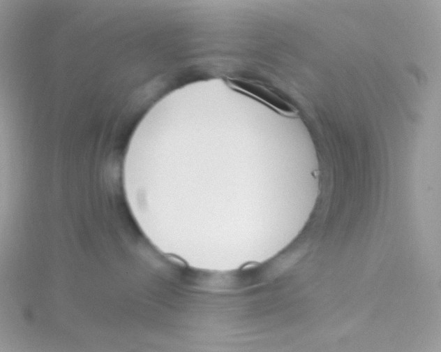 X0000115050288200911231200