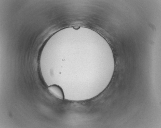 X0000115050290200911231159