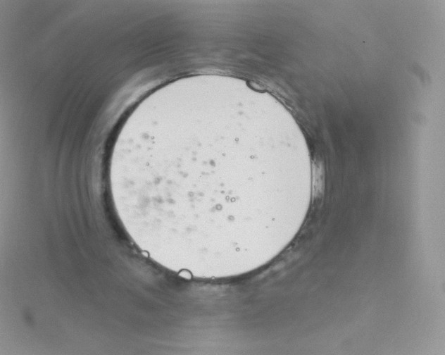 X0000115050291200911231159