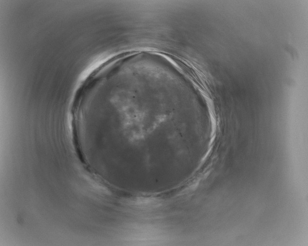 X0000115050292200911231159