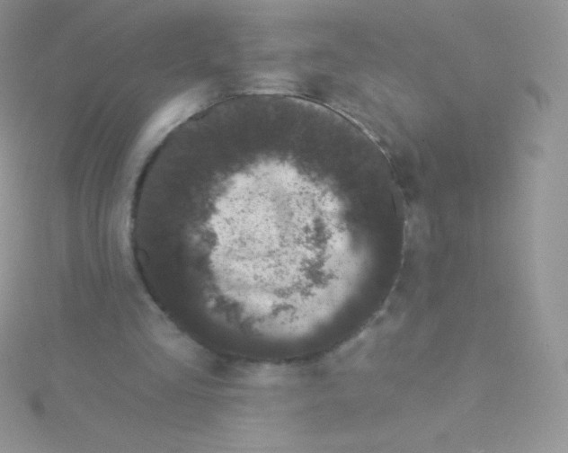 X0000115050293200911231159