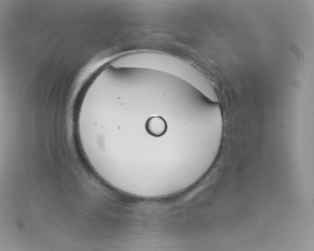 X0000115050294200911231159