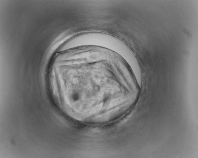 X0000115050295200911231159