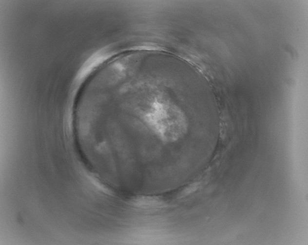 X0000115050296200911231159