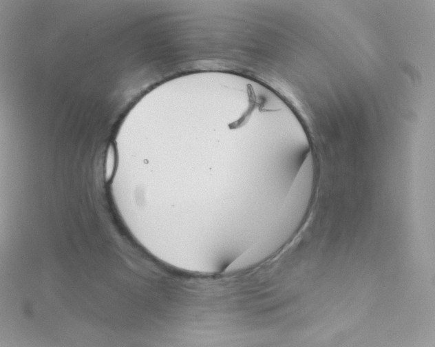 X0000115050297200911231159