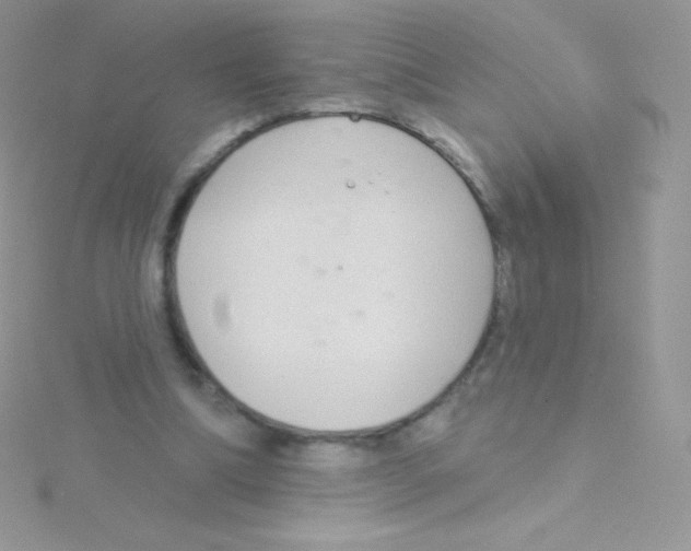 X0000115050298200911231159