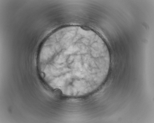 X0000115050299200911231159