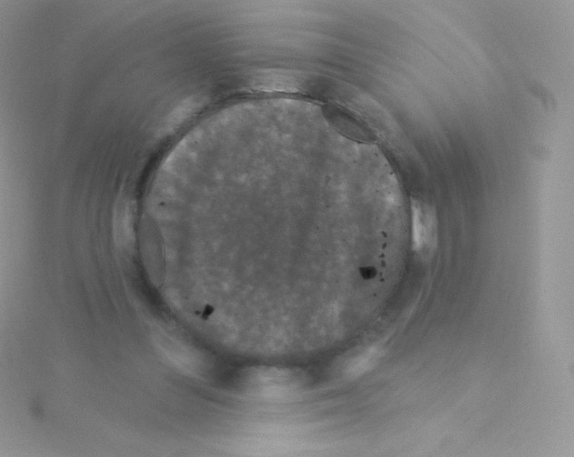 X0000115050300200911231159