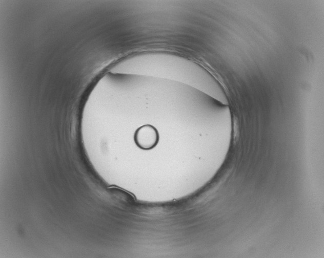 X0000115050301200911231159