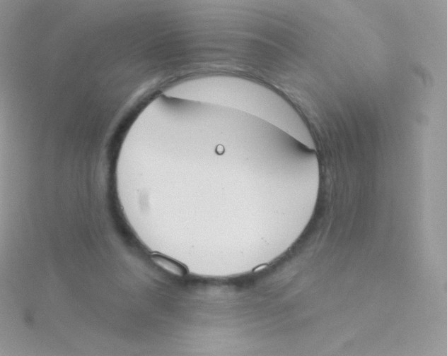 X0000115050304200911231159