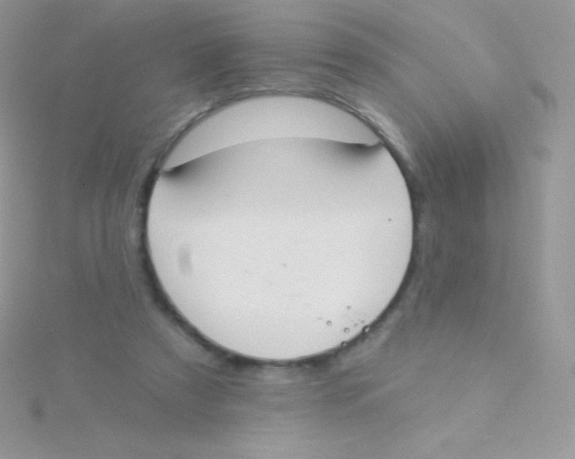 X0000115050305200911231159