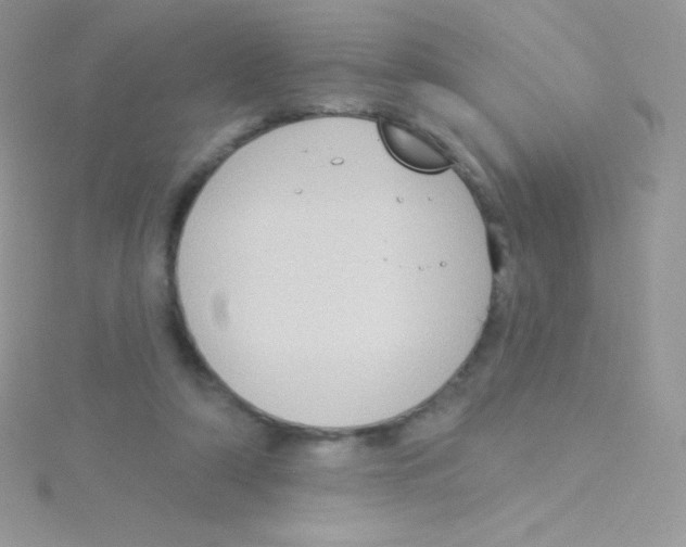 X0000115050306200911231159