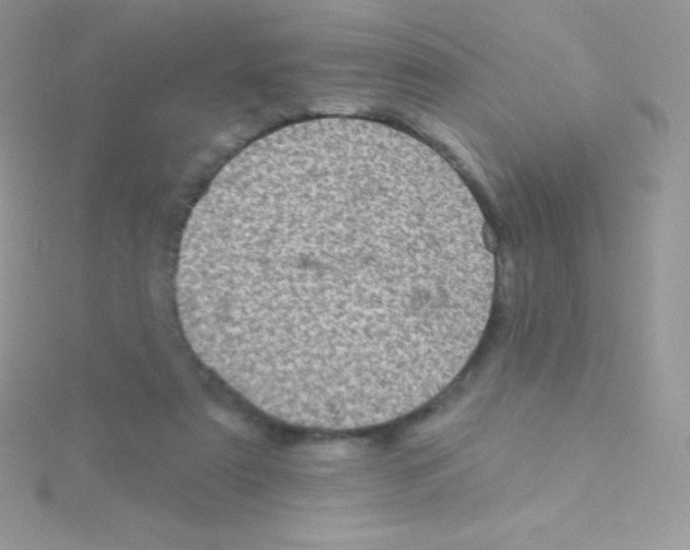 X0000115050307200911231159