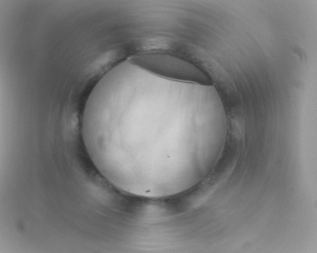 X0000115050308200911231159