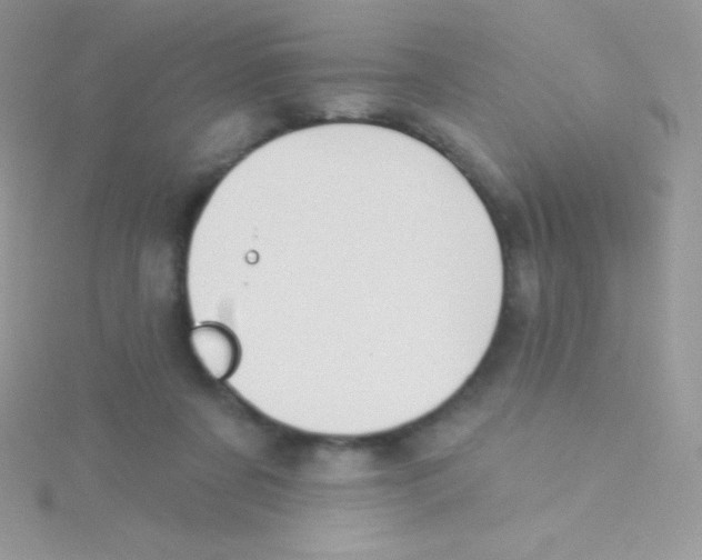 X0000115050311200911231159