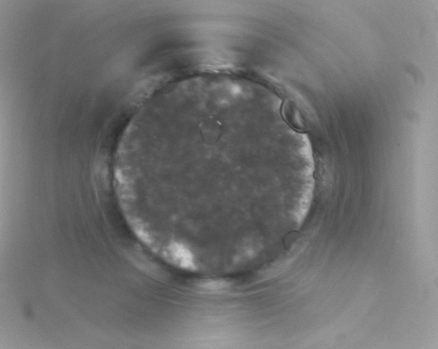 X0000115050313200911231159