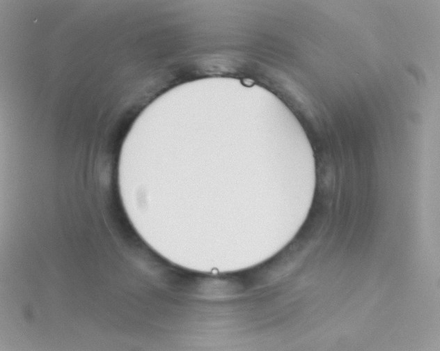 X0000115050315200911231159