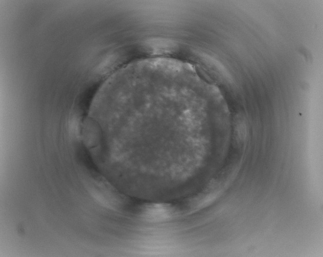 X0000115050316200911231159