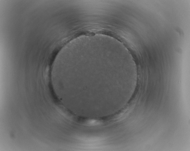 X0000115050319200911231159