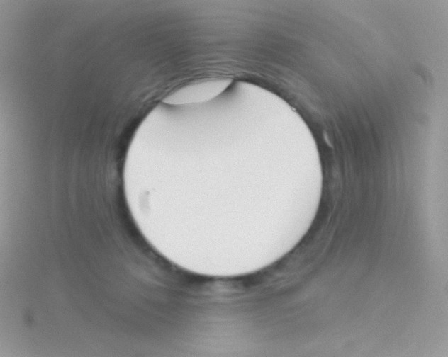 X0000115050320200911231159