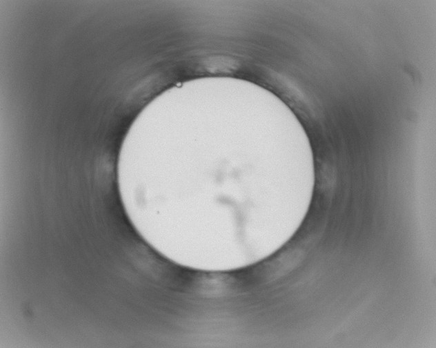 X0000115050321200911231159